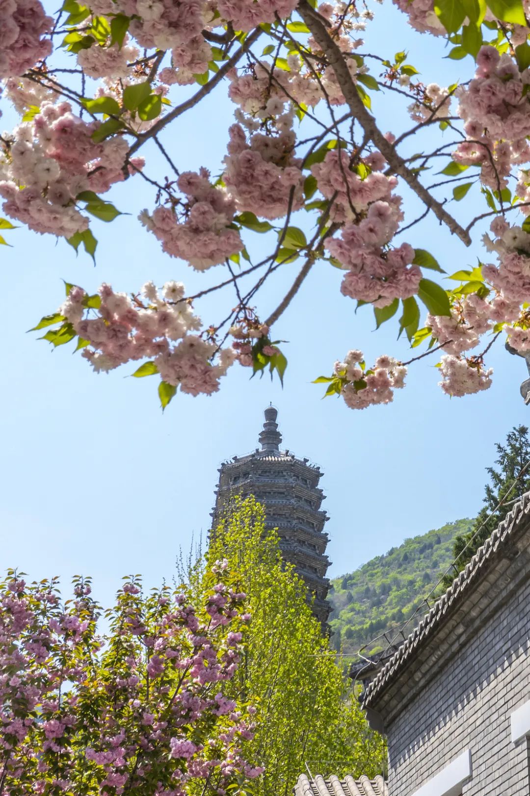 中国最灵的寺庙雍和宫,不要再去一个人挤人的景点