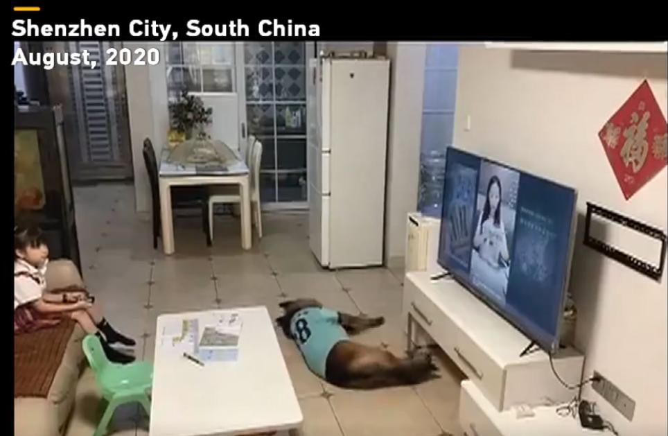 监控下小孩不可思议的瞬间,监控孩子的一举一动