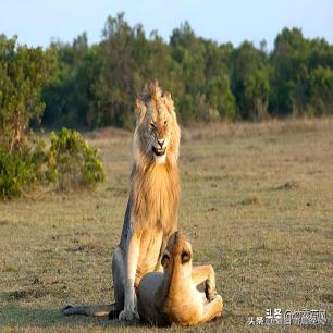 珍贵照片，日军*杀屠**老百姓强奸妇女，用刀剖开肚子，看看多残忍