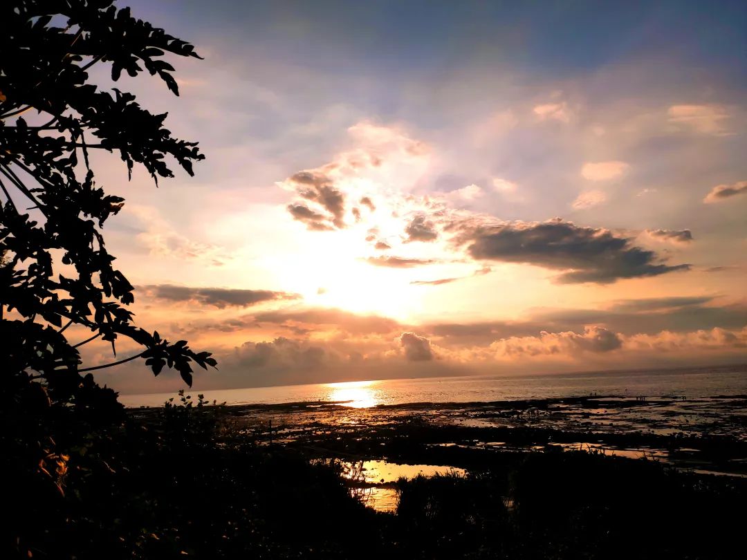 北海涠洲岛避坑全攻略,北海涠洲岛旅游风景几月去最好