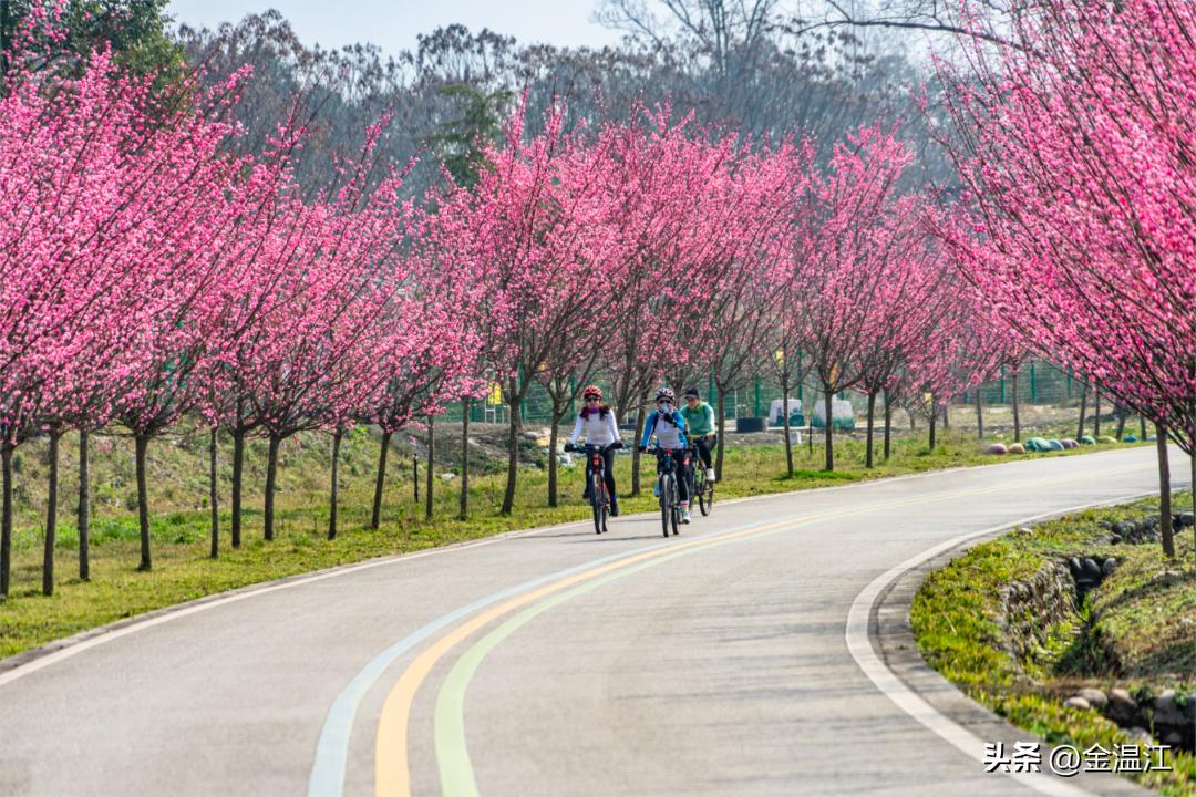 群聊必备表情图,群聊欢迎新人进群表情包
