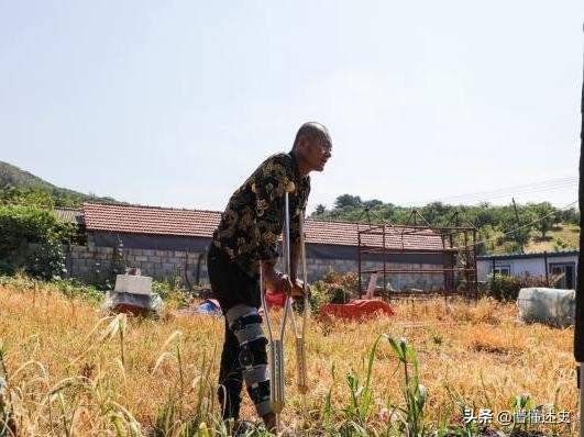 辽宁农民捡140斤太岁一夜暴富,当年捡140斤太岁现在怎样了