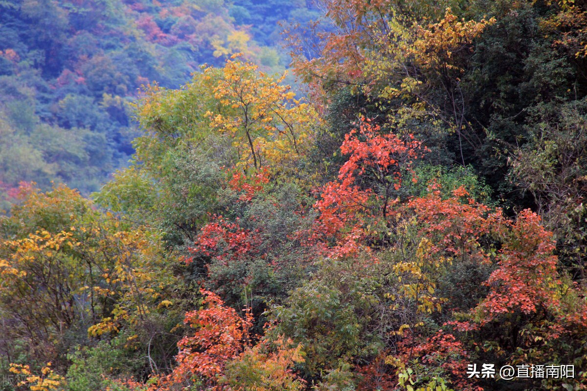南召宝天曼景区旅游攻略,南召宝天曼门票