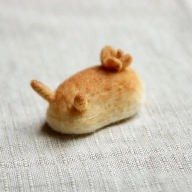 奇形怪状的羊毛毡,奇形怪状羊毛毡