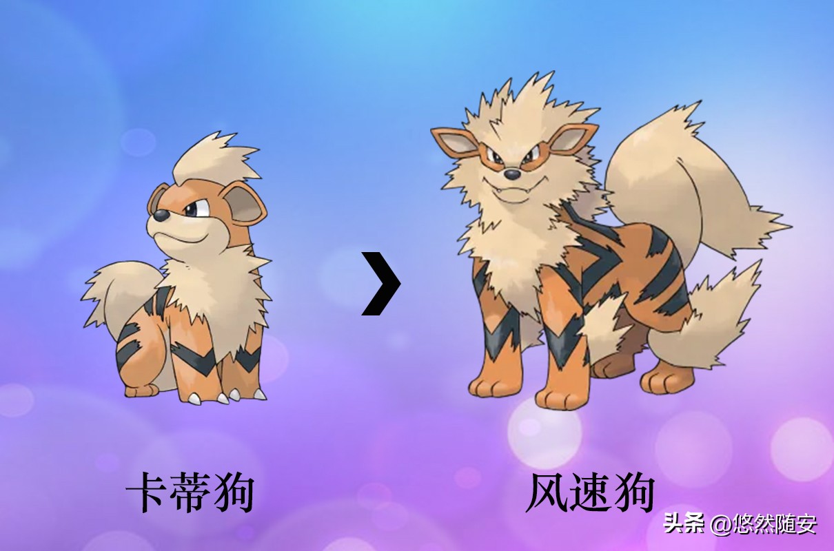 宝可梦所有御三家进化形态,宝可梦小火狐进化形态