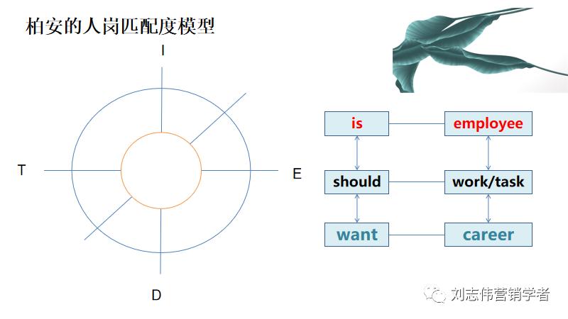 员工职业生涯规划ppt模板,职业生涯规划课件完整版ppt