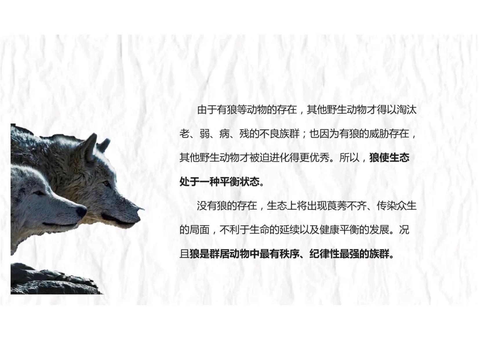 如何快速组建一个狼性的销售团队,打造一支狼性团队必抓的十大核心