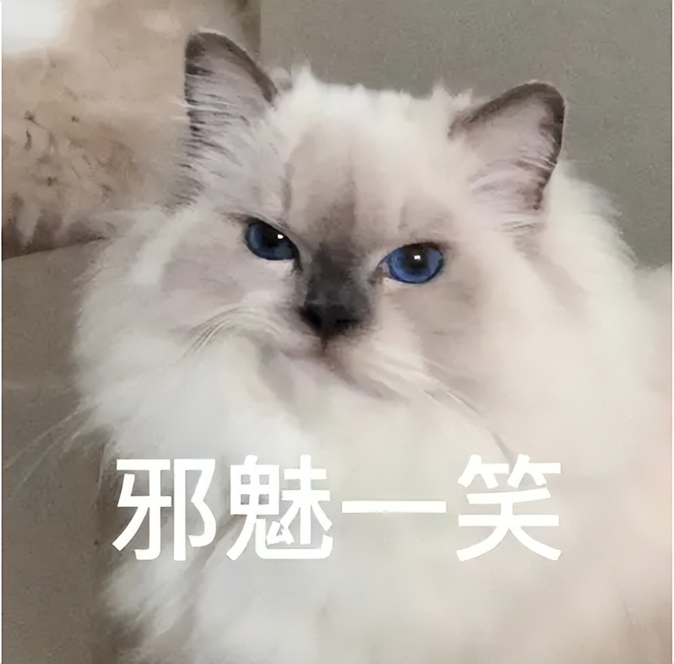 铲屎官身上的猫毛怎么处理,猫咪掉毛铲屎官怎么办