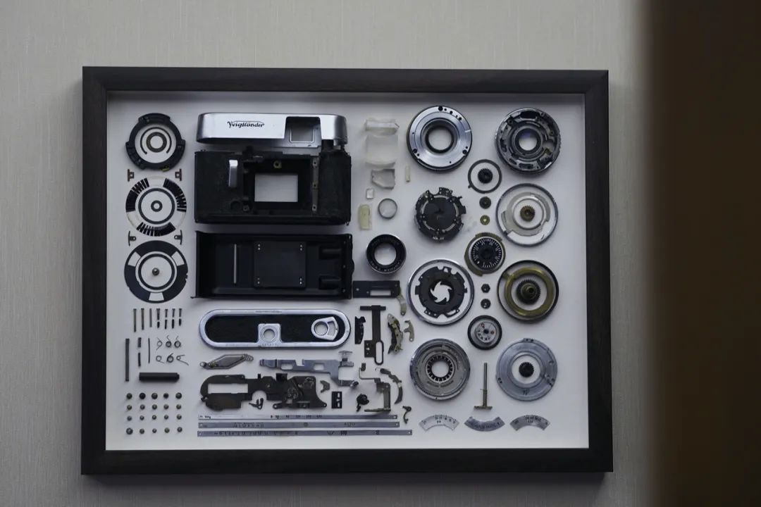 中国年轻人，不买房，只“玩物丧志”