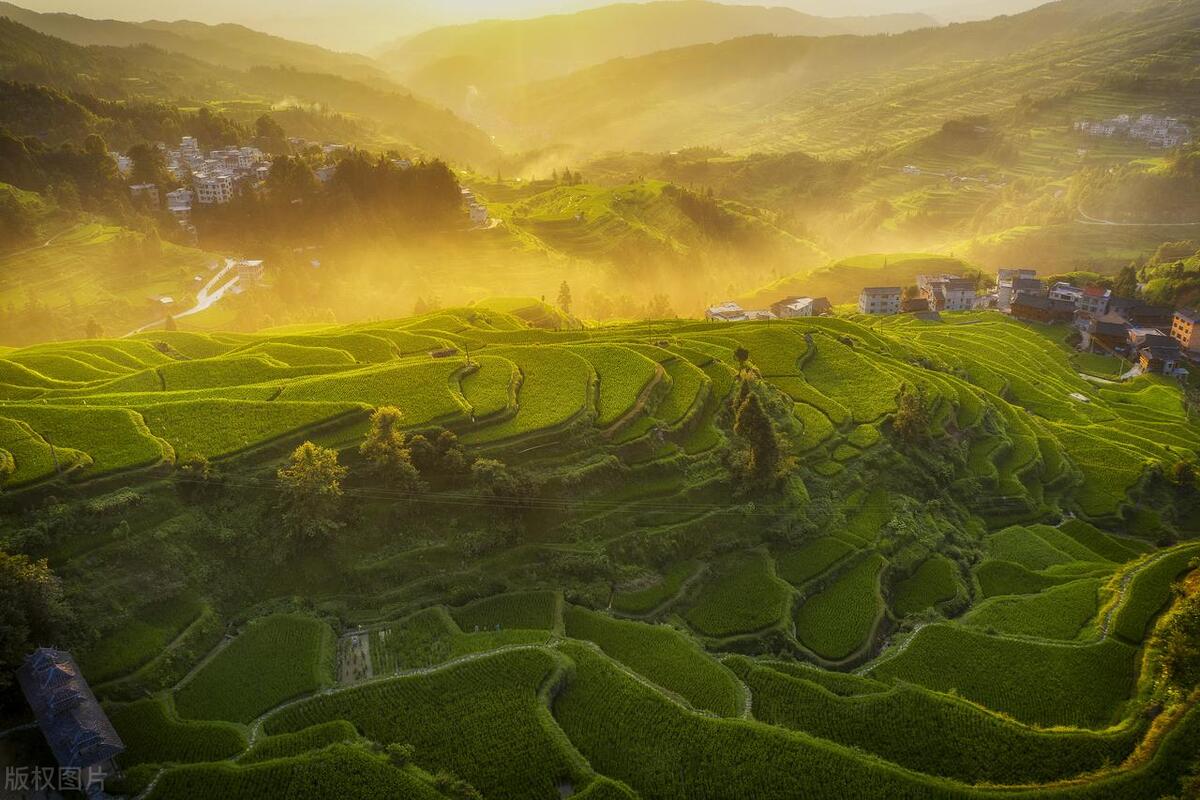 反垄断法是刑法第几条,反垄断法新法和旧法的区别