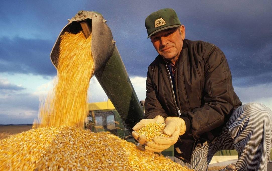 中国买家转向购买巴西玉米，退货美国订单，美媒：损害我们利益