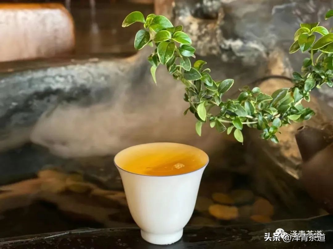 夏至蝉始鸣半夏生全文,夏至蝉始鸣半夏生什么意思