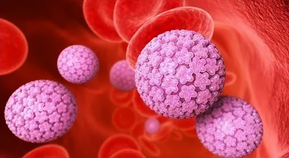 公共厕所马桶到底有多脏,使用公共马桶会感染疾病么