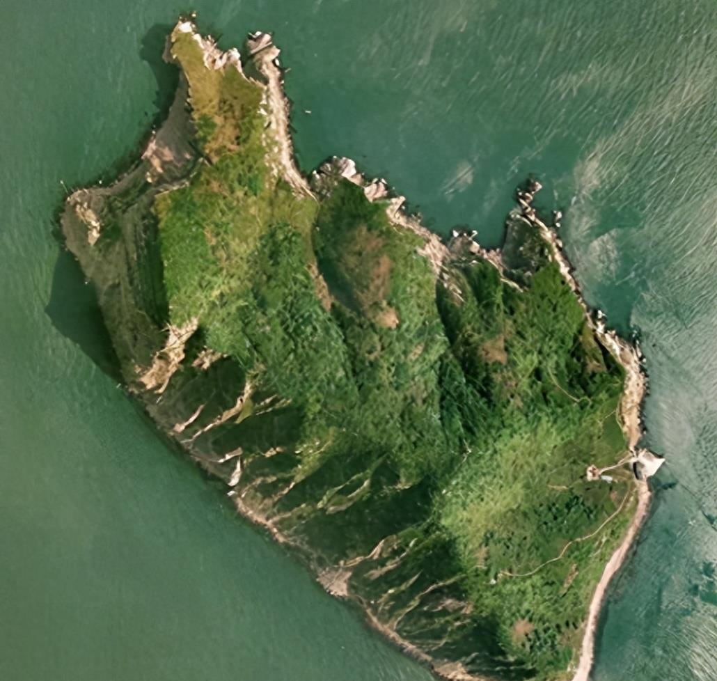 蛇岛生态链惊现老鼠吃蛇,2万条蛇成口粮引关注