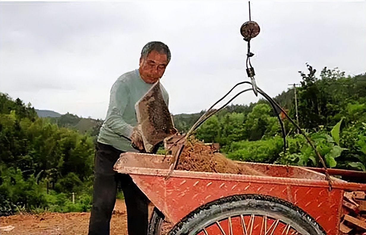 24岁男孩去世捐献器官救4人,20岁大学生去世捐献器官救7人