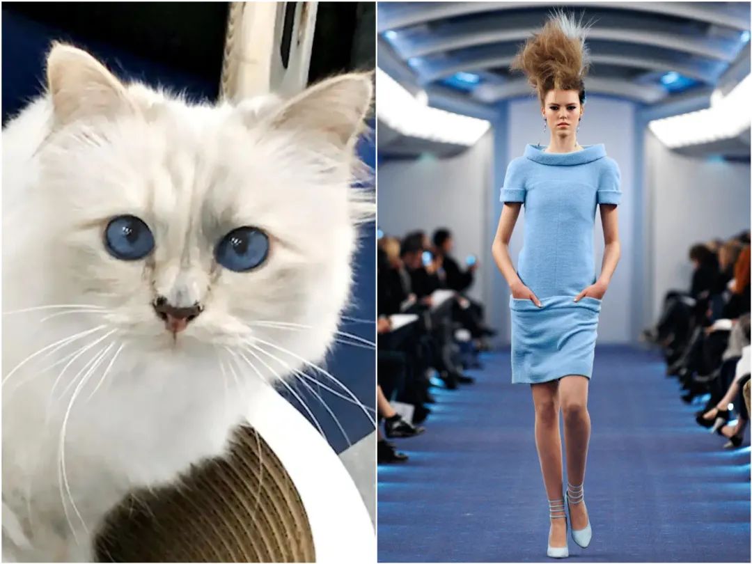 刘雯邓文迪,邓文迪杨紫琼