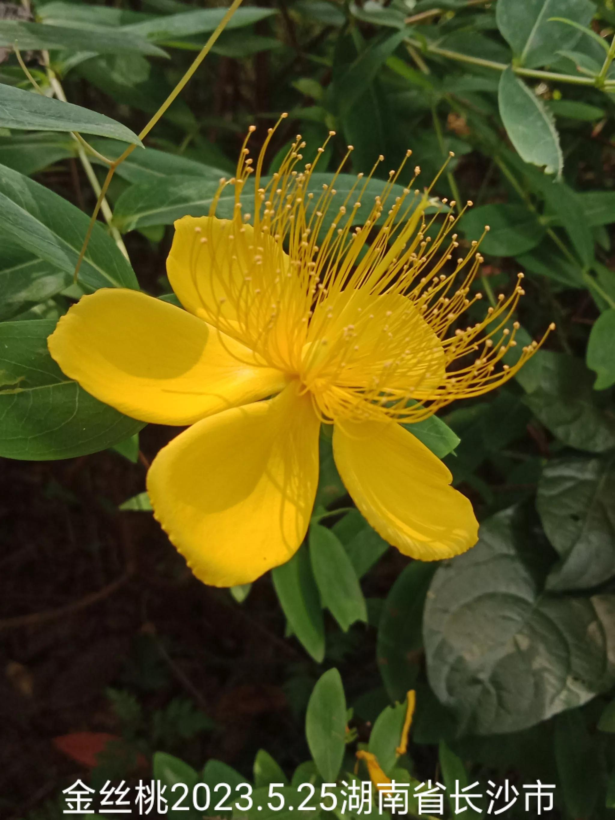 微信群忘保存找不到怎么办,怎么保存微信群里面的人