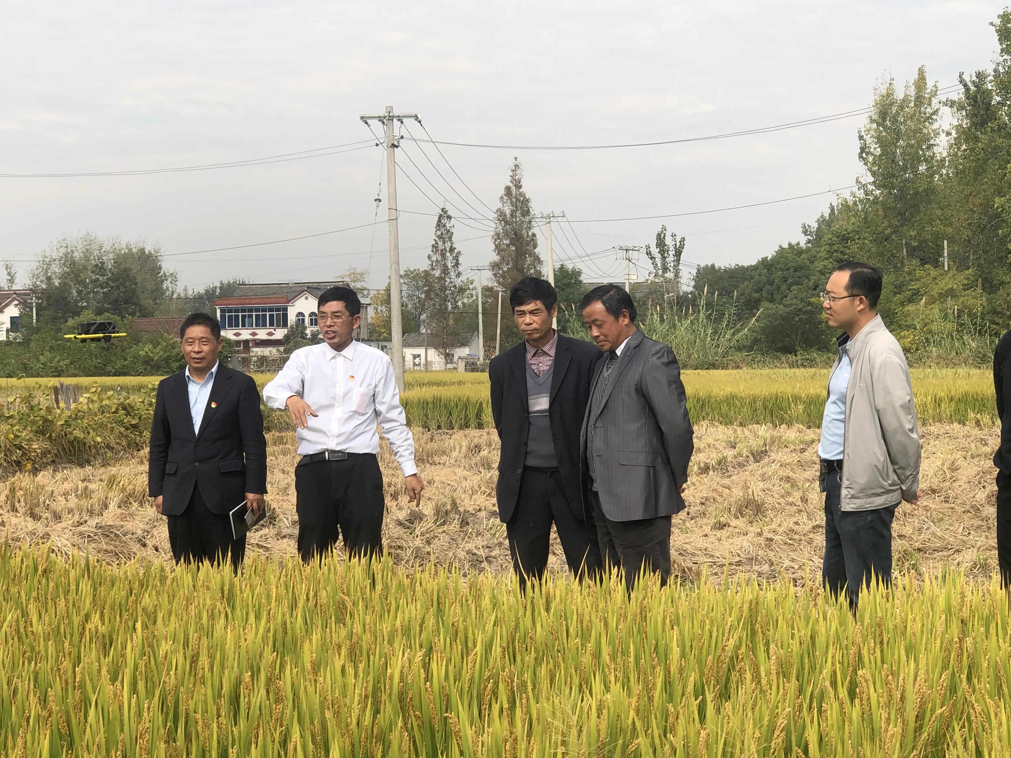 农村人是最美的劳动人,农民是最轻松的职业