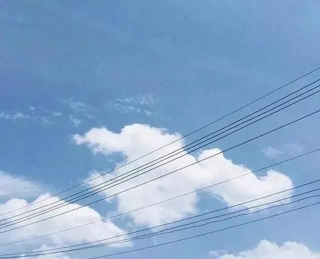 我是园丁也是花,我是园丁的视频