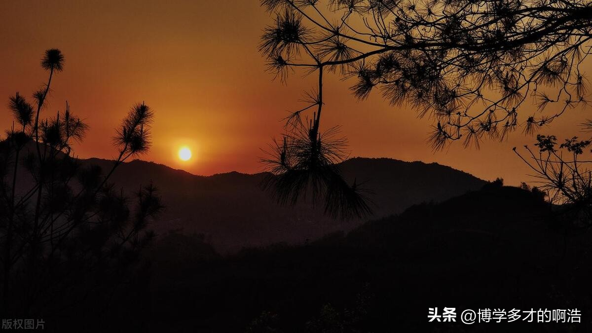 怎样在头条上快速涨粉到100,头条新手第一天涨粉多少个正常