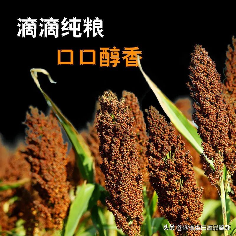 贵州茅台镇赖茅酒五年陈酒,97回归版赖茅酒都是假的吗