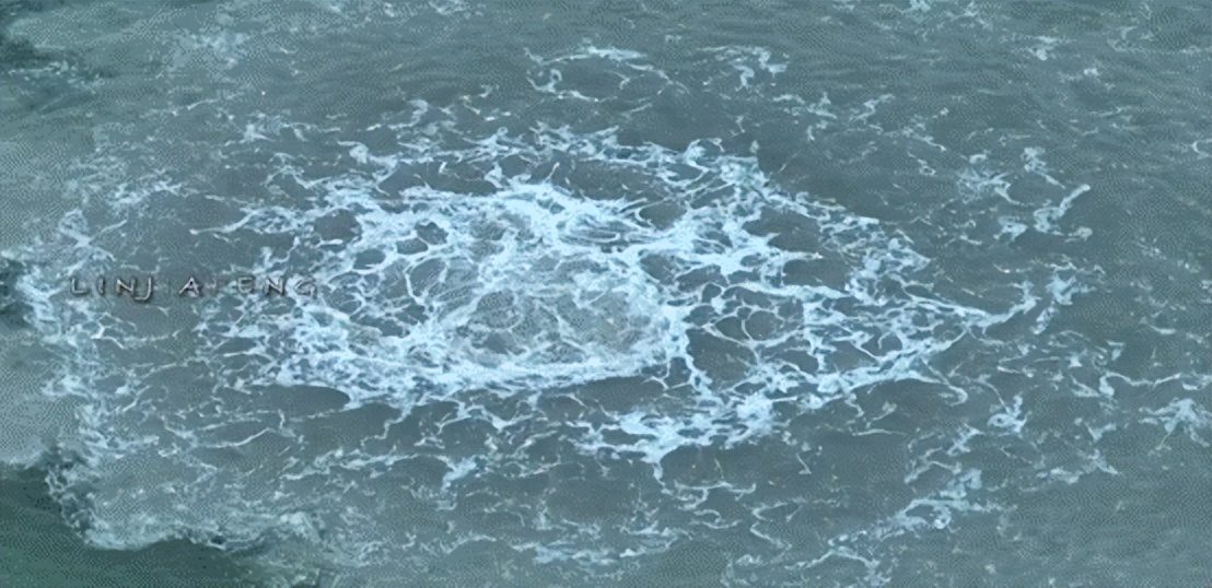 湛江海域蓝眼泪奇观,湛江海水漂着的是什么