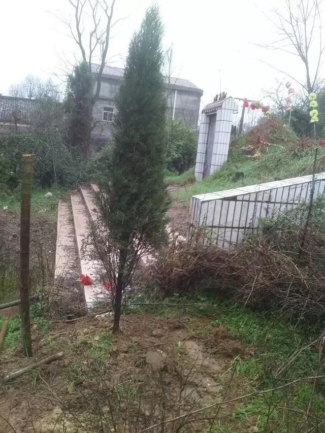 父亲节的文案短句,父亲节的祝福