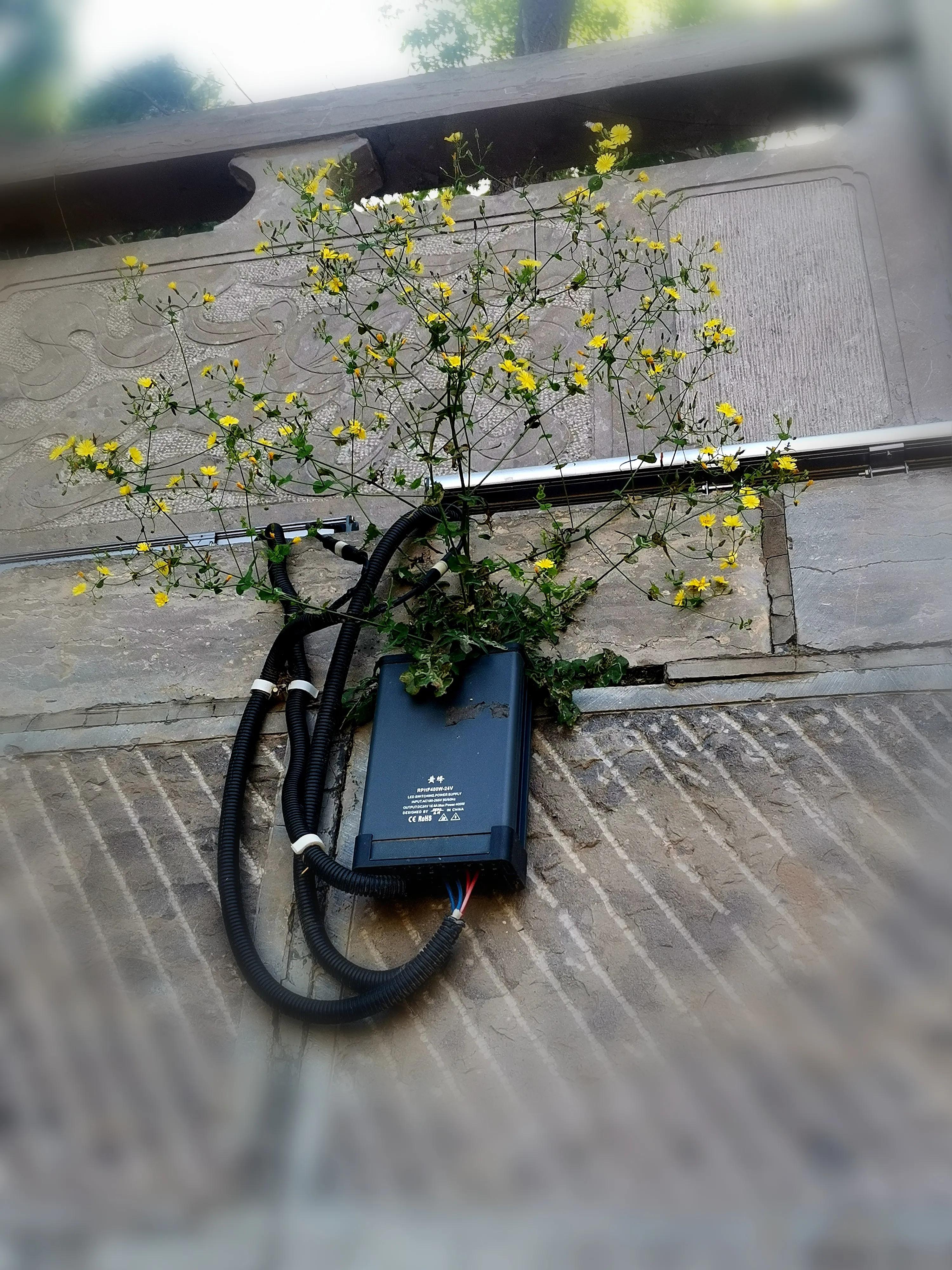 药王孙思邈河南鹤壁五岩山,孙思邈隐居的地方