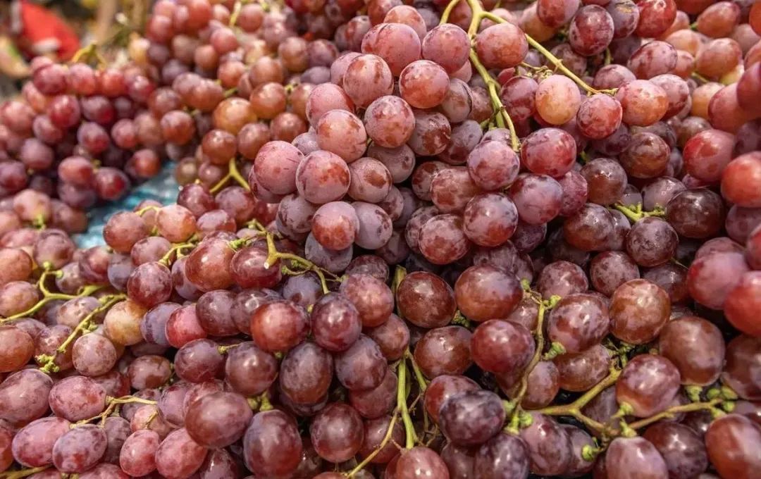 临近7月，这“3菜2果”建议不要买，难吃还贵，菜贩子自己都不吃