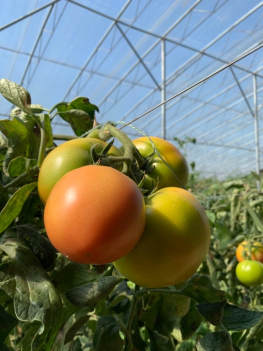 “污水”转一圈就能喝，一家神奇的工厂