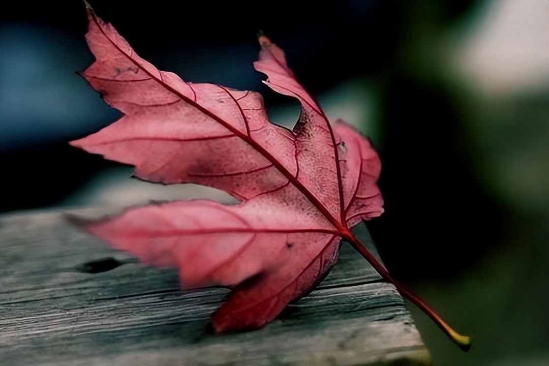 “是人是鬼，一看便知”，看清一个人，无需日久，三招识破