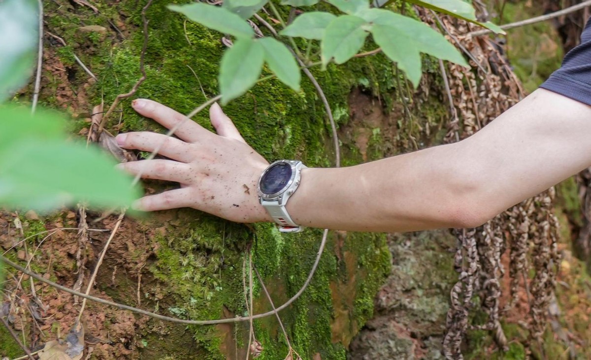 佳明fenix7心率传感器,佳明fenix7xpro心率推送