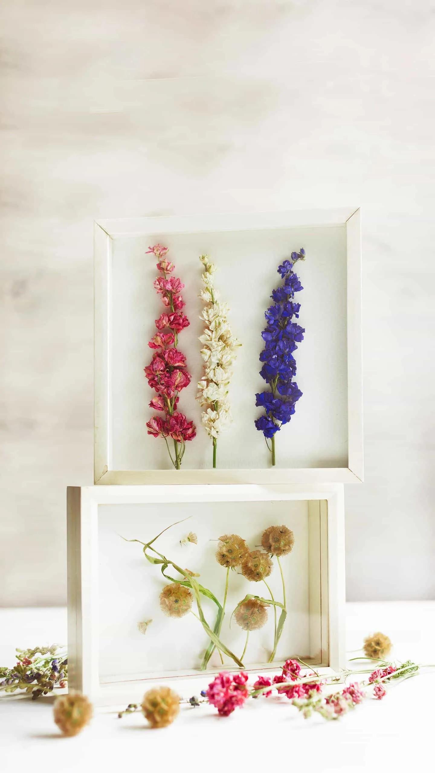 送礼的讲究和注意事项,关于送礼的忌讳你知道多少