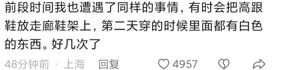 好恶心!男子进公寓楼偷舔女住户鞋子,不仅舔鞋里面还舔鞋底