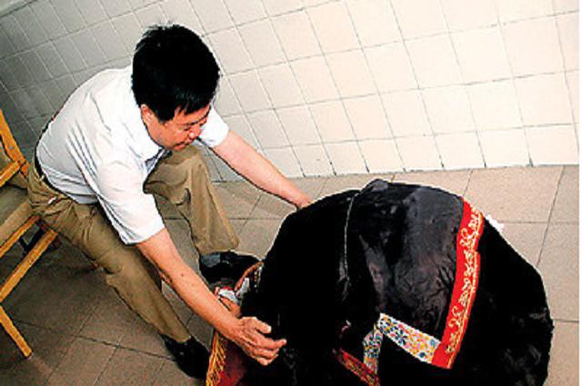 东莞被火化女孩得救十年后成画家,1995年东莞打工妹在殡仪馆火化