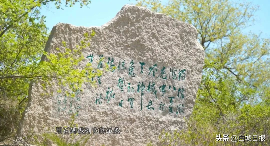 鎺㈣绁炴湪,鎺㈣涔鹃櫟