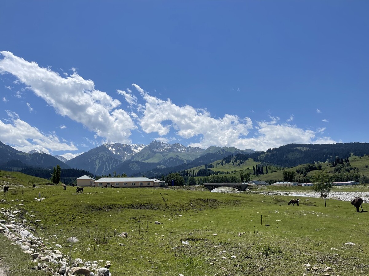 夏天自驾游最凉快的地方,旅游十大必去的地方中国夏天