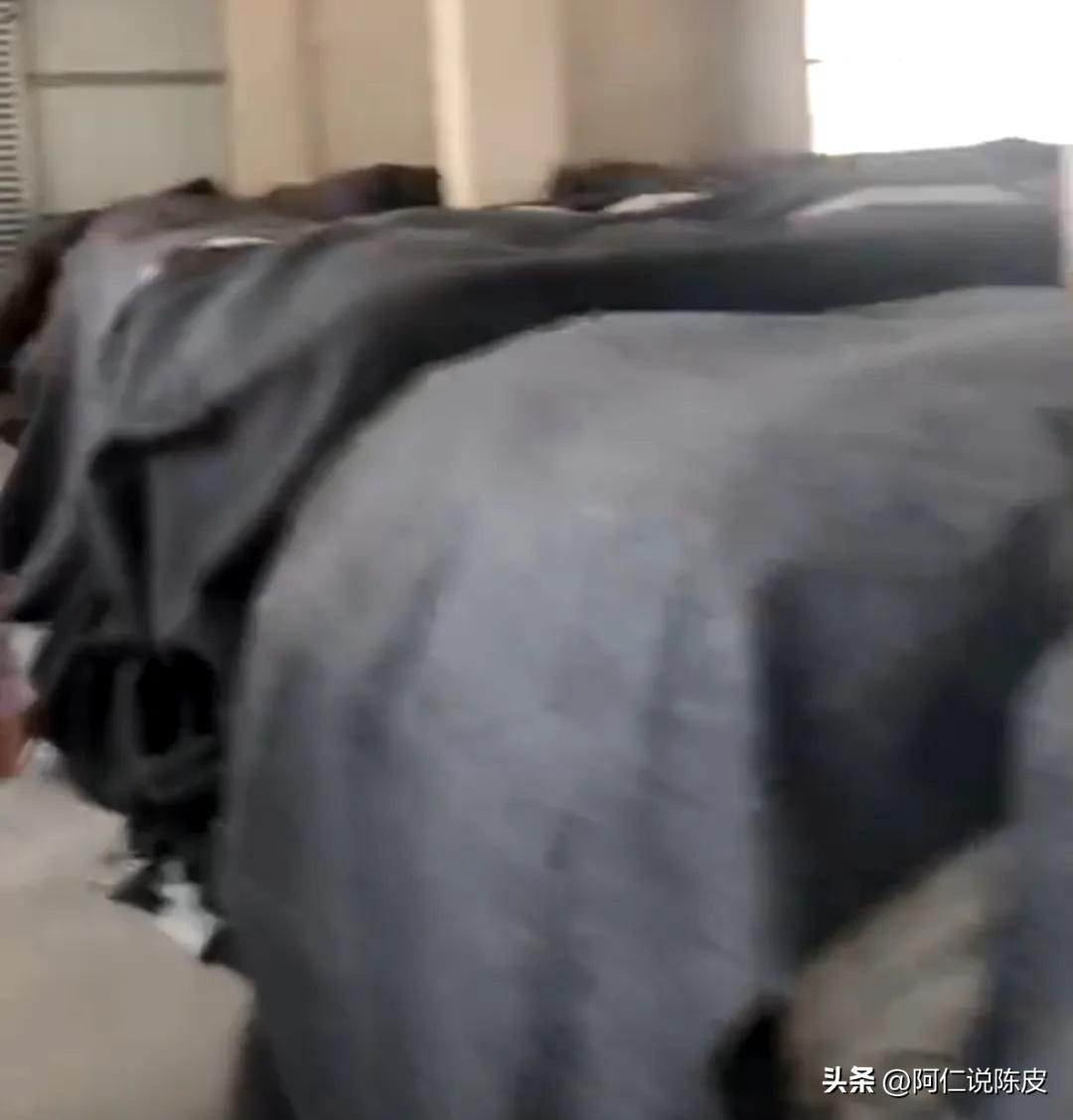 2019新会陈皮打假,新会假陈皮怎么辨别