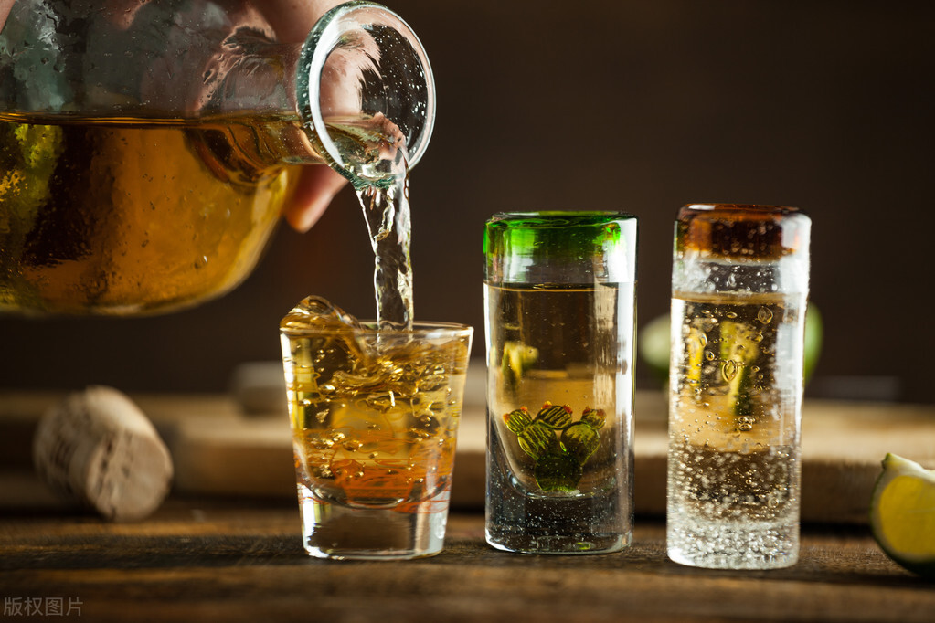 墨西哥黑帮事件了解一下,墨西哥的黑帮历史