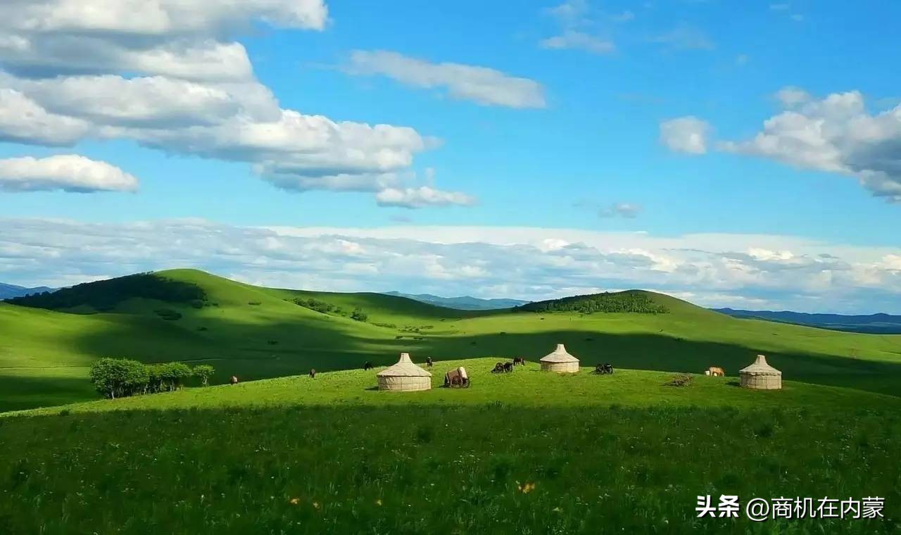 内蒙古即将动工的项目,内蒙古2024重大项目投资清单