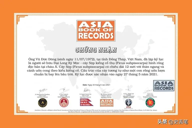 2012年他花9万买下一棵老榕树，结果10年后出价105万都不肯卖