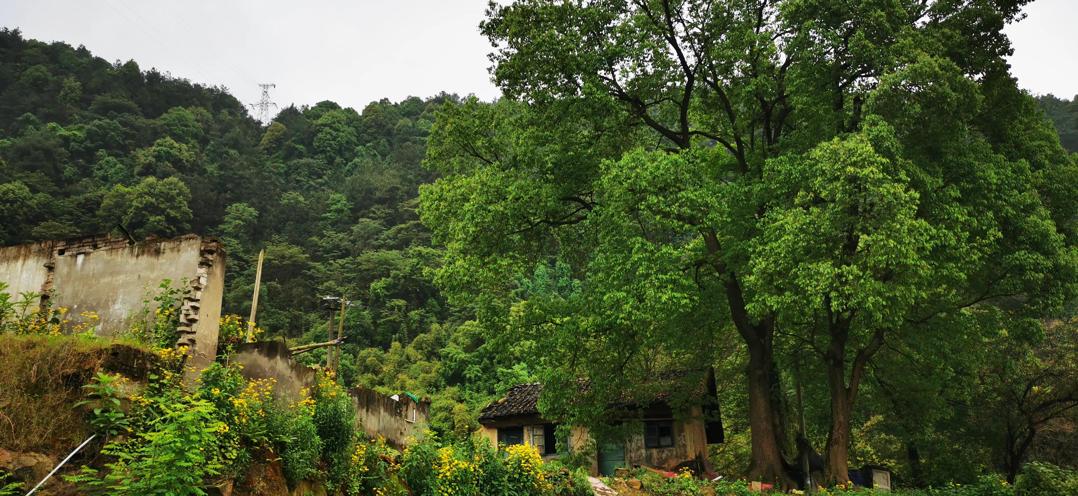 缙云山脚,缙云附近适合散步的地方
