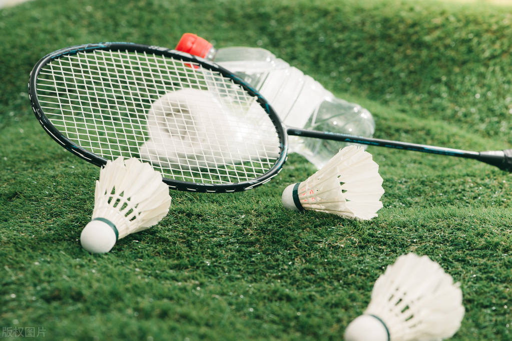 什么牌子的羽毛球拍是最好的,哪些品牌的羽毛球拍比较好