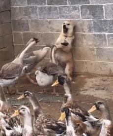 生活里也有乐趣,我们的生活有哪些乐趣呢