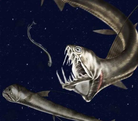 鬼吹灯里面的怪物现实生活有没有,鬼吹灯731部队里的怪物是什么