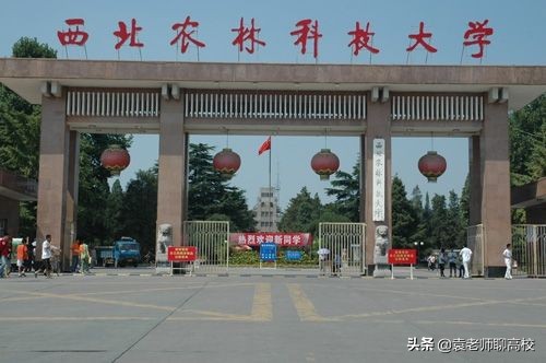 中国农业大学和西北农林大学,西北农林科技大学与南京农业大学