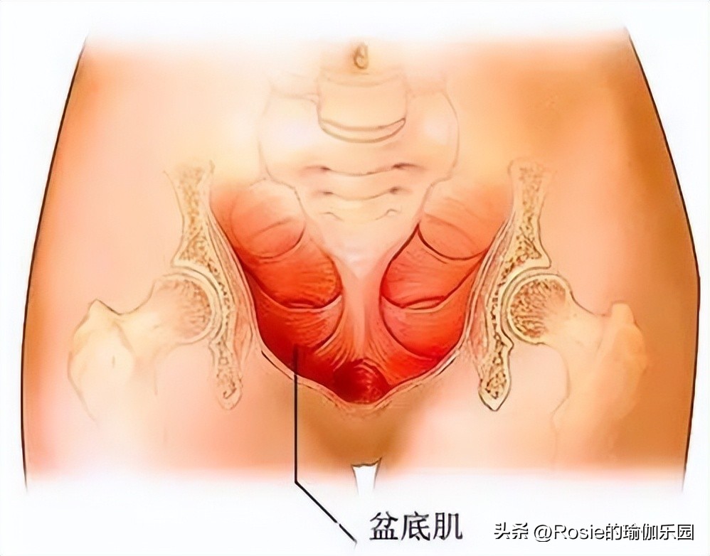 章泽天产后修复,章泽天产后美照