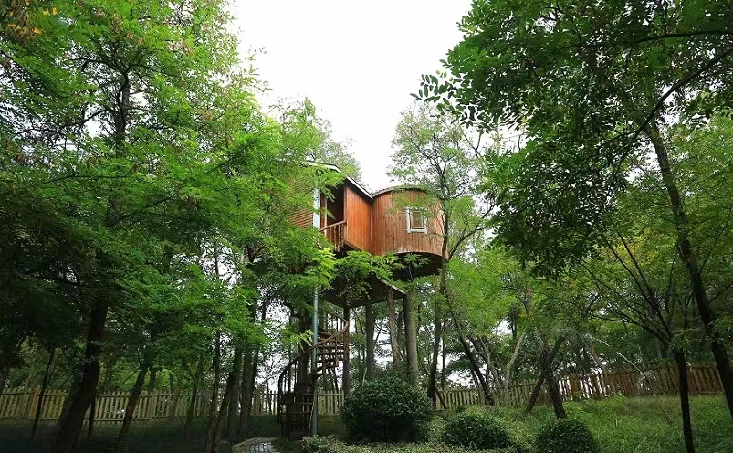 郑州市内旅游必去十大景点,郑州最值得去的十个景点