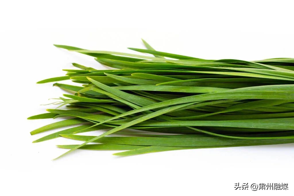 春天里的春菜大全,春天宁可不吃肉也要吃这四种春菜