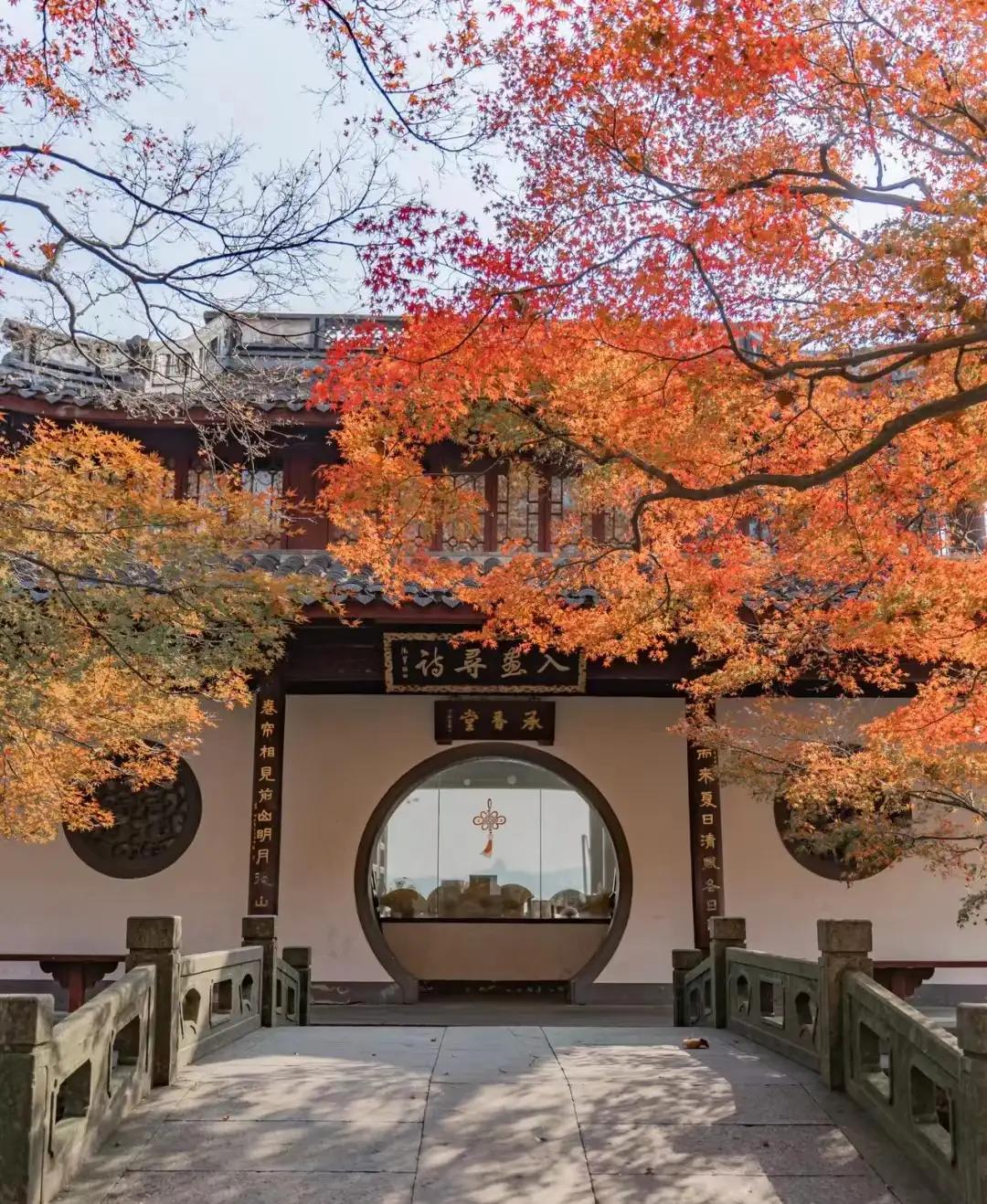 杭州周边赏秋好去处,杭州赏秋最佳攻略